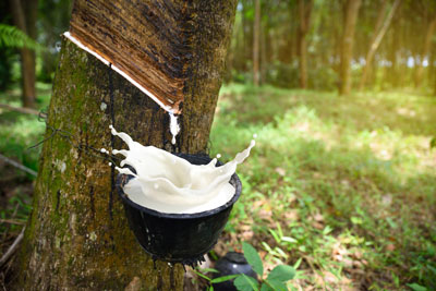 Natural Raw Rubber